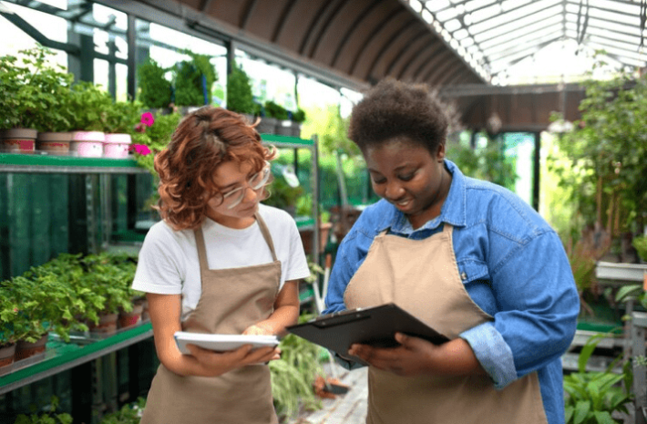 Bridging Past and Future with My Business Plus